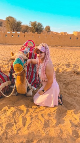 camel dubai